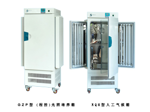 �������B�䡢�˹������