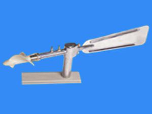 ����ʽ���كx